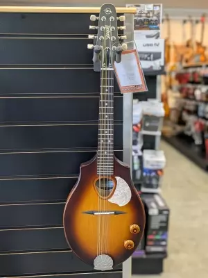 Seagull Guitars - S42500
